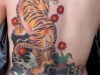 tigerback